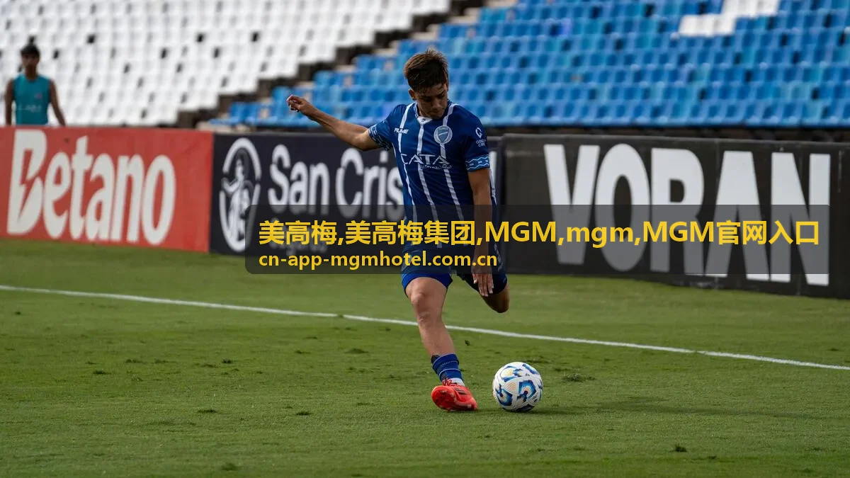 美高梅 MGM安全识别说明配图