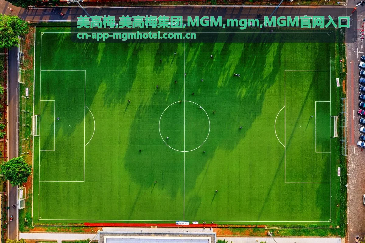 美高梅 MGM官网入口说明封面