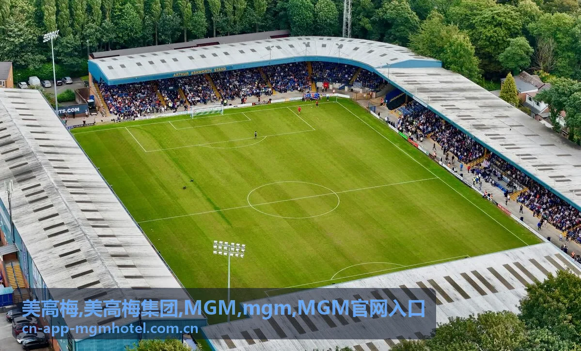 MGM移动端访问建议封面